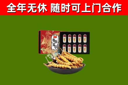 乾县区烟酒回收冬虫夏草礼盒.jpg